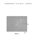 CONDUCTIVE INKS AND CONDUCTIVE POLYMERIC COATINGS diagram and image