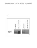 Method for Producing Pluripotent Stem Cells diagram and image