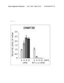 Method for Producing Pluripotent Stem Cells diagram and image