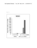 Method for Producing Pluripotent Stem Cells diagram and image