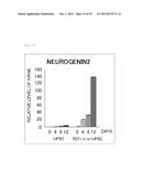 Method for Producing Pluripotent Stem Cells diagram and image