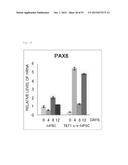 Method for Producing Pluripotent Stem Cells diagram and image