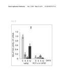 Method for Producing Pluripotent Stem Cells diagram and image