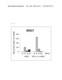 Method for Producing Pluripotent Stem Cells diagram and image