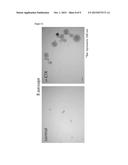 NEURAL STEM CELL HAVING INCREASED PASSAGE ABILITY, METHOD FOR     MANUFACTURING NEURAL STEM CELL HAVING SAID INCREASED PASSAGE ABIILITY,     AND METHOD FOR CULTURING NEURAL STEM CELLS FOR INCREASING PASSAGE ABILITY     OF NEURAL STEM CELLS diagram and image