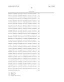 NEURAL STEM CELL HAVING INCREASED PASSAGE ABILITY, METHOD FOR     MANUFACTURING NEURAL STEM CELL HAVING SAID INCREASED PASSAGE ABIILITY,     AND METHOD FOR CULTURING NEURAL STEM CELLS FOR INCREASING PASSAGE ABILITY     OF NEURAL STEM CELLS diagram and image