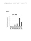 Methods For Generating Pluripotent Stem Cell-Derived Brown Fat Cells diagram and image