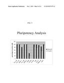 Single Pluripotent Stem Cell Culture diagram and image