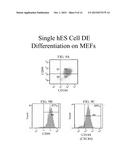 Single Pluripotent Stem Cell Culture diagram and image