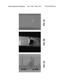 Eukaryotic Cells with Artificial Endosymbionts for Multimodal Detection diagram and image