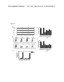 Human Betacoronavirus Lineage C and Identification of N-Terminal     Dipeptidyl Peptidase As Its Virus Receptor diagram and image