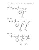 POLYMER CONJUGATES FOR DELIVERY OF BIOLOGICALLY ACTIVE AGENTS diagram and image