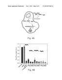 POLYMER CONJUGATES FOR DELIVERY OF BIOLOGICALLY ACTIVE AGENTS diagram and image