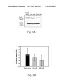 POLYMER CONJUGATES FOR DELIVERY OF BIOLOGICALLY ACTIVE AGENTS diagram and image