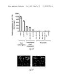 TREATMENT OF METASTATIC BREAST CANCER diagram and image