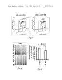 TREATMENT OF METASTATIC BREAST CANCER diagram and image