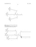 Oligonucleotide Conjugates diagram and image