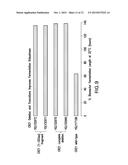 CRZ1 MUTANT FUNGAL CELLS diagram and image