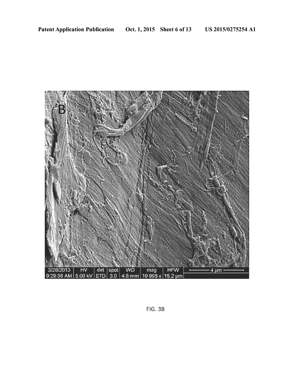 ENZYME LOADING, CELLULOSE HYDROLYSIS, AND INHIBITION OF CELLOBIOHYDROLASES     USING LIQUID HOT WATER PRETREATMENT - diagram, schematic, and image 07