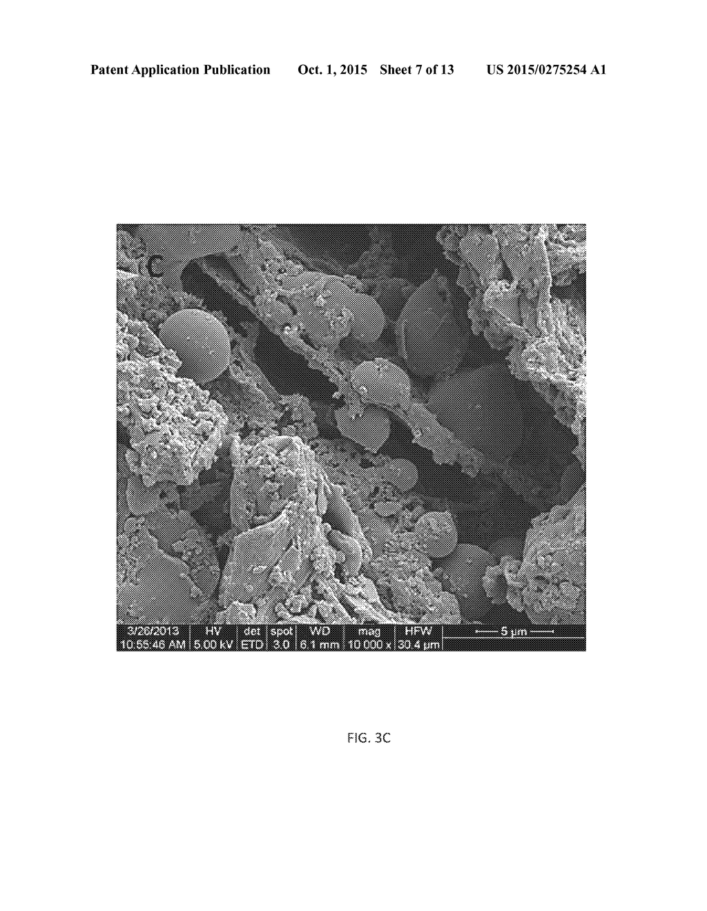 ENZYME LOADING, CELLULOSE HYDROLYSIS, AND INHIBITION OF CELLOBIOHYDROLASES     USING LIQUID HOT WATER PRETREATMENT - diagram, schematic, and image 08