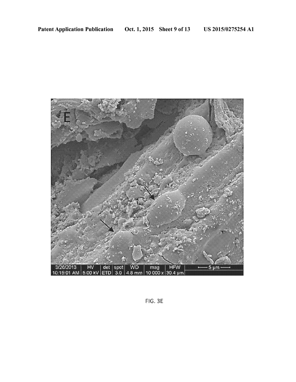 ENZYME LOADING, CELLULOSE HYDROLYSIS, AND INHIBITION OF CELLOBIOHYDROLASES     USING LIQUID HOT WATER PRETREATMENT - diagram, schematic, and image 10