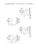 URINE EXOSOME mRNAS AND METHODS OF USING SAME TO DETECT DIABETIC     NEPHROPATHY diagram and image