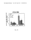 METHOD FOR EVALUATING EFFECT OF CYTOKINE ON METABOLIC ACTIVITY OF     CYTOCHROME P450, AND DRUG SCREENING METHOD diagram and image