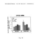 METHOD FOR EVALUATING EFFECT OF CYTOKINE ON METABOLIC ACTIVITY OF     CYTOCHROME P450, AND DRUG SCREENING METHOD diagram and image