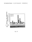 METHOD FOR EVALUATING EFFECT OF CYTOKINE ON METABOLIC ACTIVITY OF     CYTOCHROME P450, AND DRUG SCREENING METHOD diagram and image