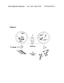 METHODS FOR DETERMINING RESISTANCE AGAINST MOLECULES TARGETING PROTEINS diagram and image