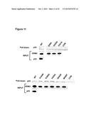 METHODS FOR DETERMINING RESISTANCE AGAINST MOLECULES TARGETING PROTEINS diagram and image