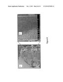 COMPACT SOLID-STATE NEUTRON DETECTOR diagram and image