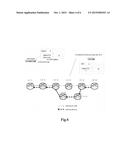 METHOD AND APPARATUS FOR CHECKING CONNECTION OF BI-DIRECTIONAL LSP diagram and image