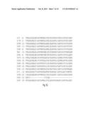 PLANT TOLERANCE TO LOW WATER, LOW NITROGEN AND COLD II diagram and image