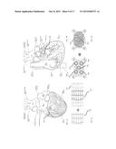 METHODS, SYSTEMS, AND APPARATUS FOR IDENTIFICATION AND CHARACTERIZATION OF     ROTORS ASSOCIATED WITH ATRIAL FIBRILLATION diagram and image