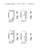 SYSTEM AND METHOD FOR DETECTING SEIZURE ACTIVITY diagram and image