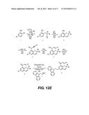 PKC Delta Inhibitors for use as Therapeutics diagram and image