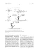 SYNTHETIC ENV PROTEINS diagram and image