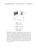 SYNTHETIC ENV PROTEINS diagram and image