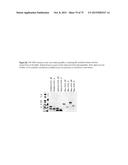 SYNTHETIC ENV PROTEINS diagram and image