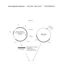 Recombinant Feline Leukemia Virus Vaccine Containing Optimized Feline     Leukemia Virus Envelope Gene diagram and image