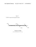 Recombinant Feline Leukemia Virus Vaccine Containing Optimized Feline     Leukemia Virus Envelope Gene diagram and image