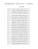 PORCINE EPIDEMIC DIARRHEA VIRUS VACCINE diagram and image