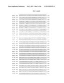 PORCINE EPIDEMIC DIARRHEA VIRUS VACCINE diagram and image