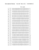 PORCINE EPIDEMIC DIARRHEA VIRUS VACCINE diagram and image