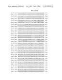 PORCINE EPIDEMIC DIARRHEA VIRUS VACCINE diagram and image