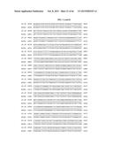 PORCINE EPIDEMIC DIARRHEA VIRUS VACCINE diagram and image