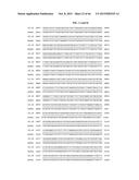 PORCINE EPIDEMIC DIARRHEA VIRUS VACCINE diagram and image