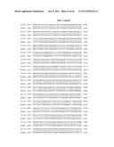 PORCINE EPIDEMIC DIARRHEA VIRUS VACCINE diagram and image