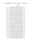 PORCINE EPIDEMIC DIARRHEA VIRUS VACCINE diagram and image